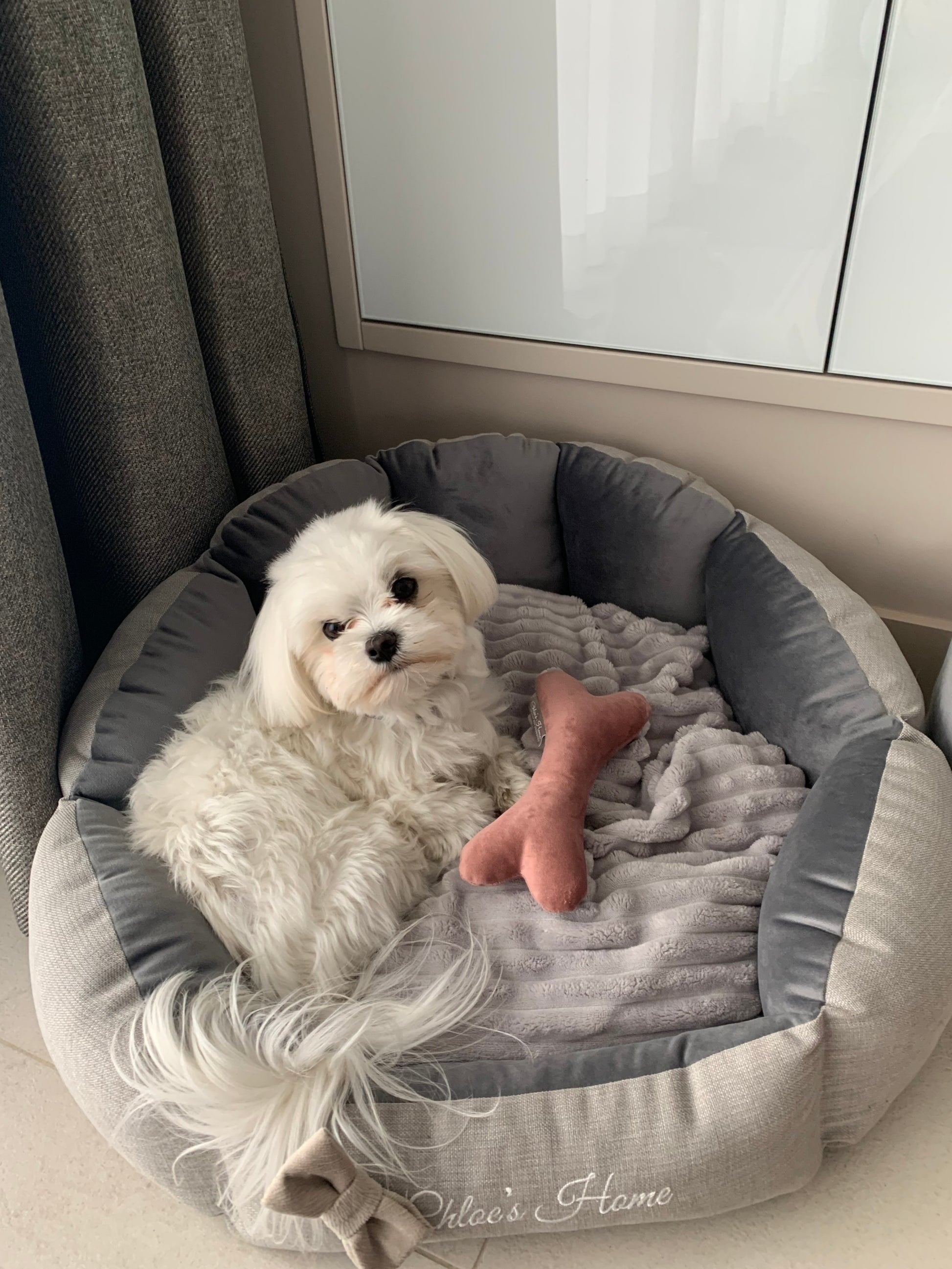 Chloe's Home Лежак для домашніх тварин Багамські острови сірий S