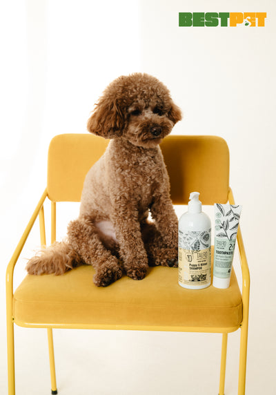 Tauro Pro Line Pure Nature Delicate Puppy & Kitten Shampoo М'який шампунь для цуценят і кошенят, 400 мл