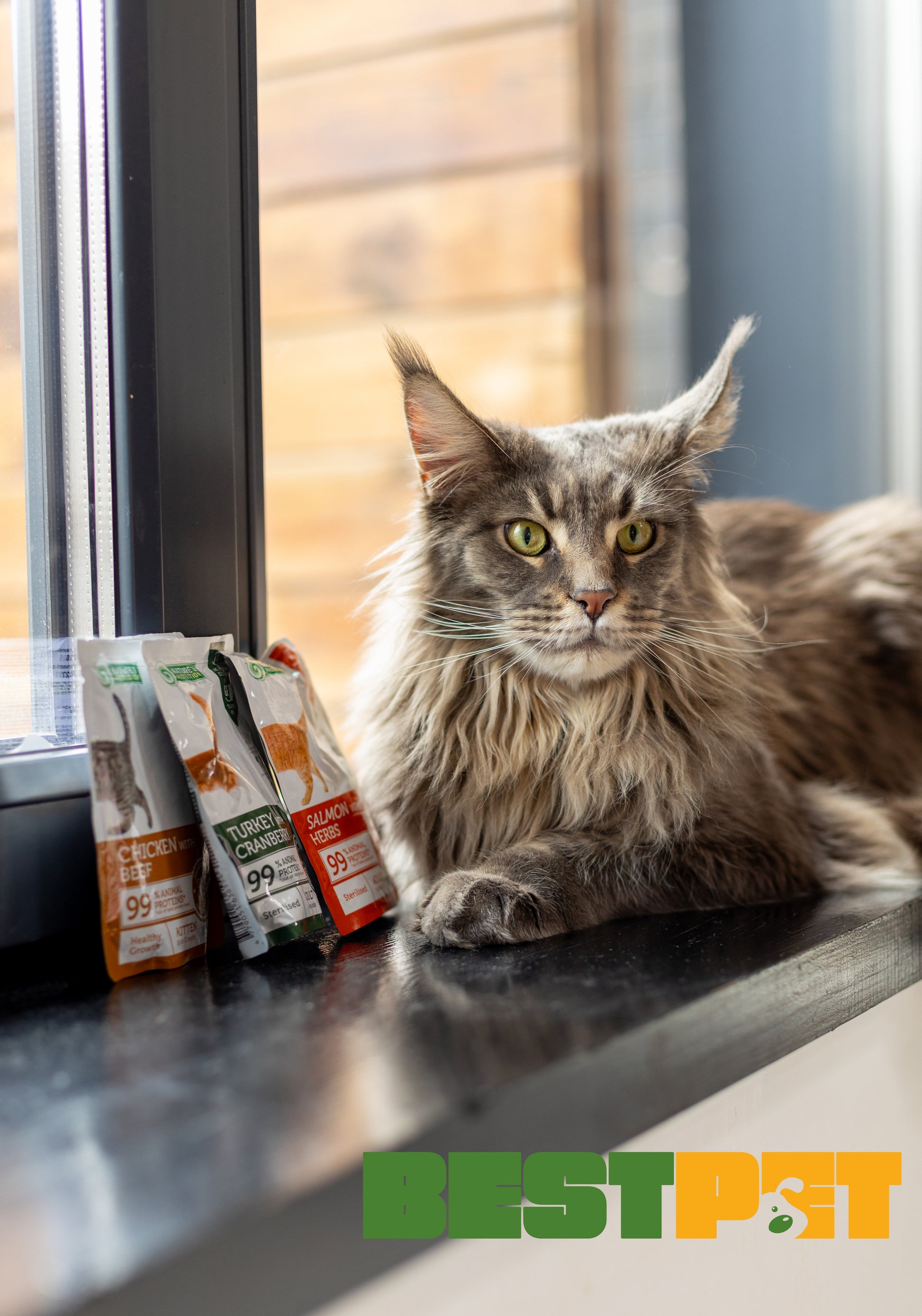Nature’s Protection Kitten Healthy Growth Chicken with Beef Вологий корм для кошенят для здорового зростання з куркою і 