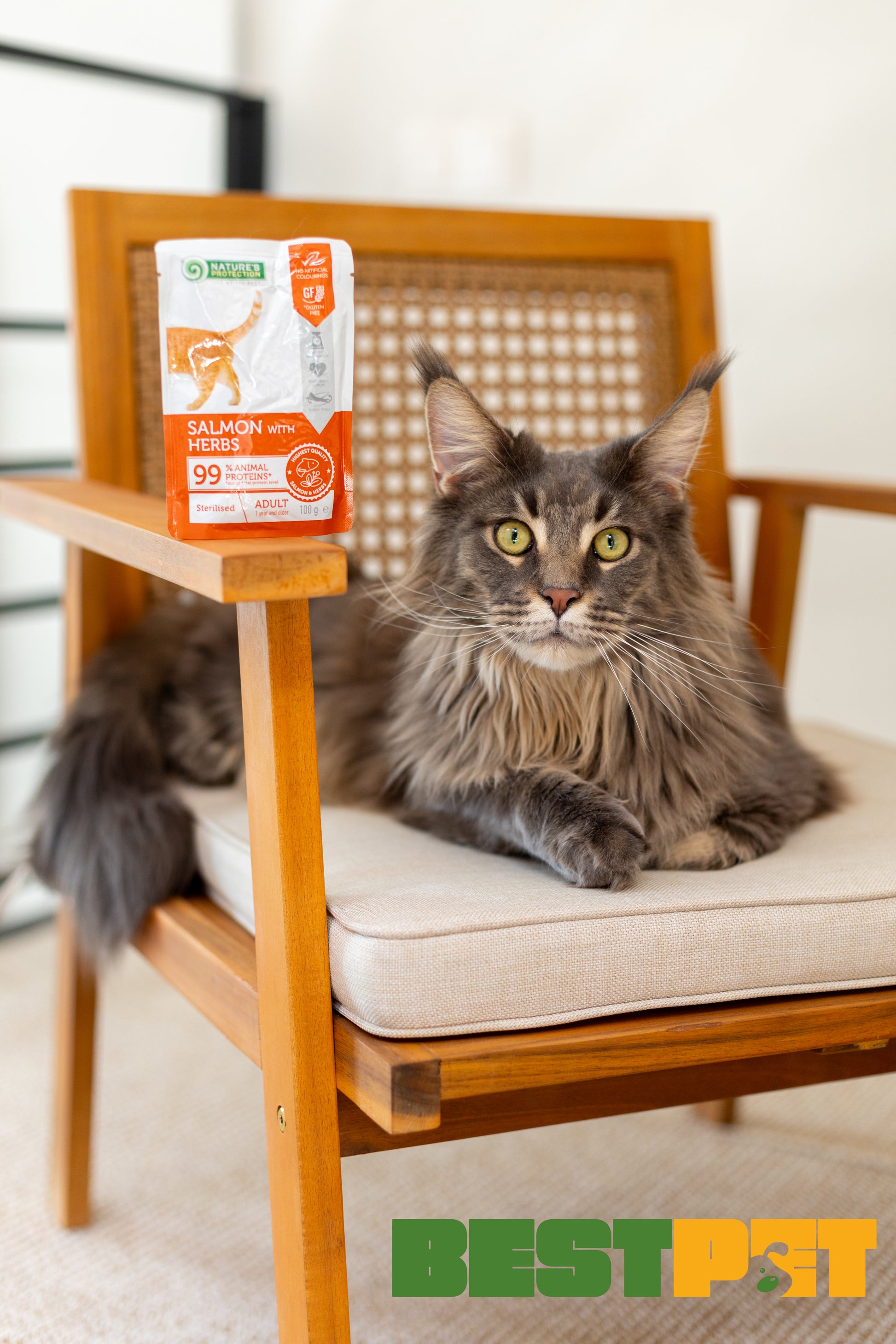Nature’s Protection Adult cats Sterilised Salmon with Herbs Вологий корм для стерилізованих котів з лососем і травами, 1