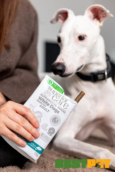 Nature's Protection Superior Care White Dogs Hypoallergenic & Digestive Care Беззернові ласощі для дорослих собак із біл