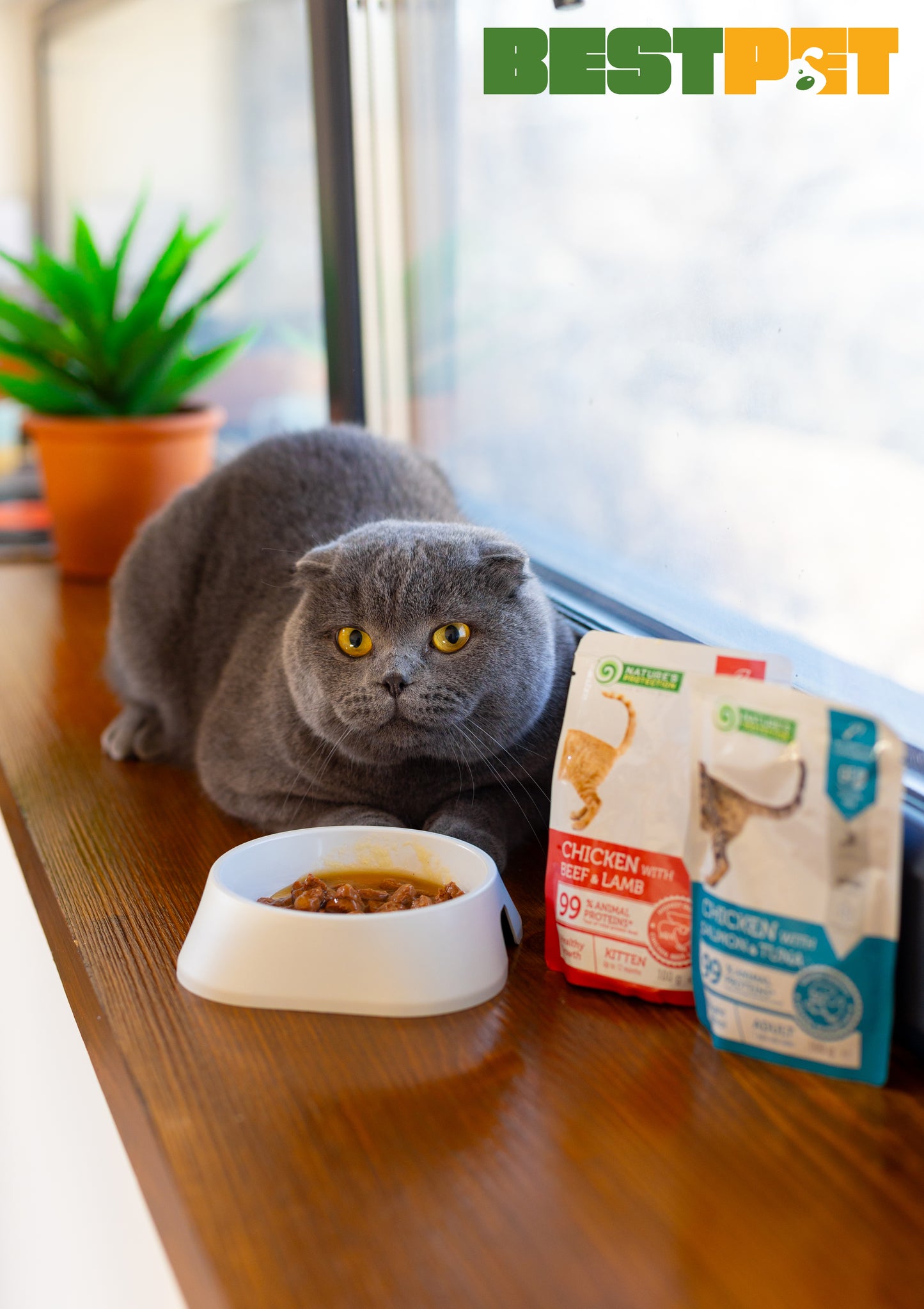 Nature’s Protection Adult cats Weight Control Chicken with Salmon & Tuna Вологий корм для котів для контролю ваги з курк