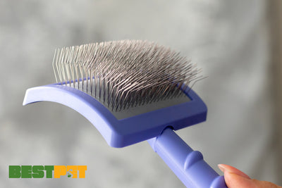 Tauro Pro Line Royal Щітка пластикова тонкі та м'які зубчики з нержавіючої сталі 25 мм, фіолетова, велика 17,5 x 10,6 x 