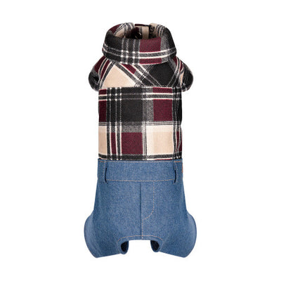 Костюм Pet Fashion Dandy для собак XS