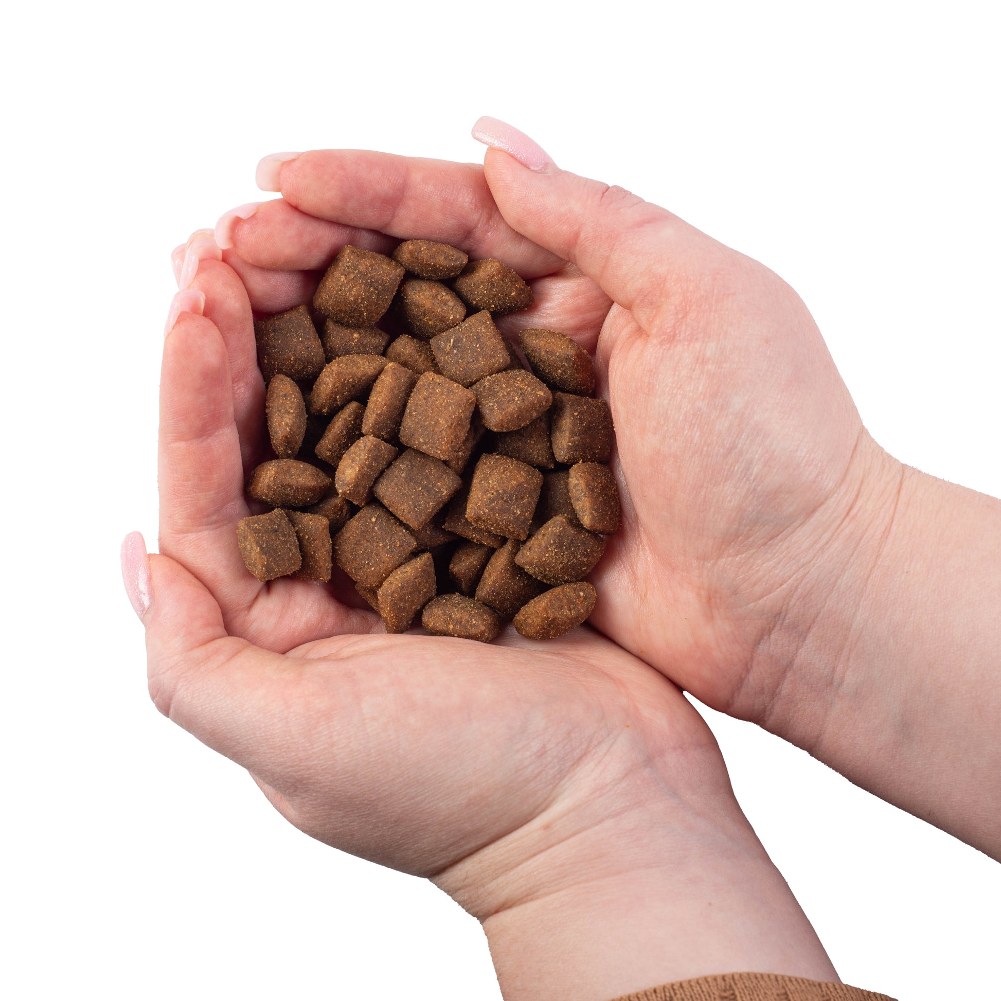 Nature's Protection Superior Care Red Coat Grain Free Salmon Adult All Breeds Сухий беззерновий корм для дорослих собак 