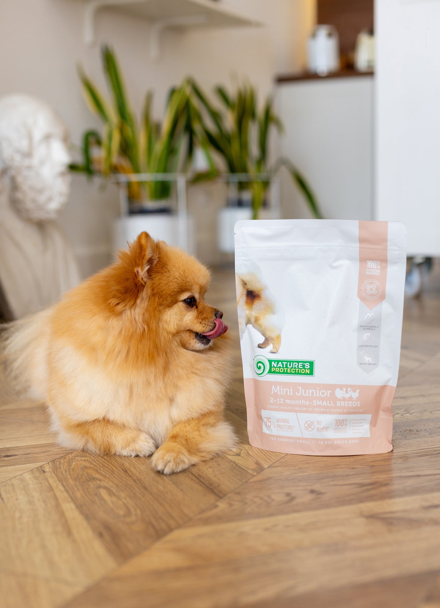 Nature's Protection Mini Junior Small Breeds Сухий корм для цуценят малих порід з м'ясом птиці, 500 г