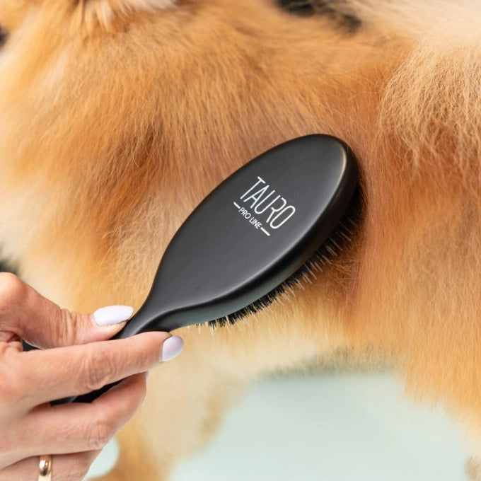 Tauro Pro Line Prestige Щітка з деревини бука і щетини кабана 16 мм з нейлоновими зубчиками, чорна, мала, 18 х 4,6 см